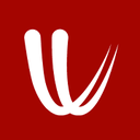 Windy 图标