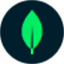 MongoDB 图标
